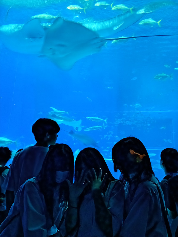 IMG_20251106_145254220_NV