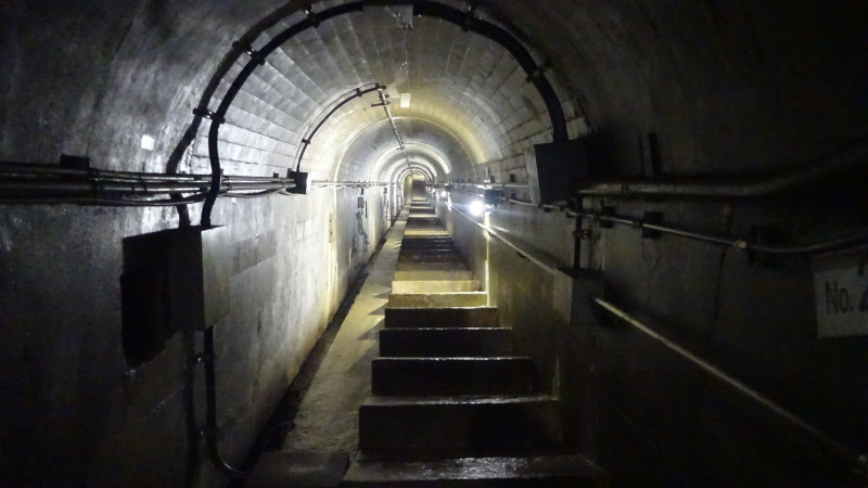 DSC00964のコピー